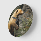 Trots draag ronde klok (Hoek)