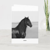 Trots Friesian zwart hengstpaard Kaart (Achterkant)