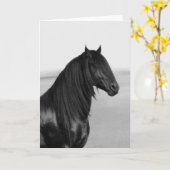 Trots Friesian zwart hengstpaard Kaart (Gele Bloem)