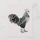 Trots haantje! briefkaart (Voorkant)