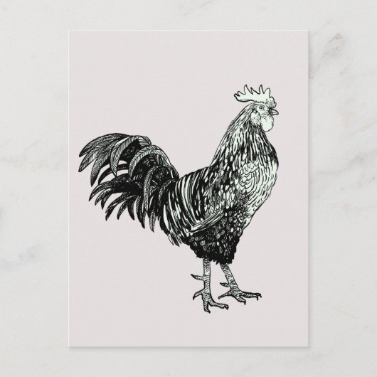 Trots haantje! briefkaart (Voorkant)