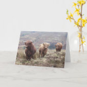 Trots om Schots te zijn! Kaart (Gele Bloem)