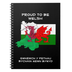 TROTS OM TE ZIJN WELSH Vlag van Wales Notitieboek