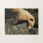 Trotse Beer Legpuzzel (Horizontaal)