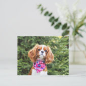 Trotse Cavalier King Charles Spaniel Puppy Briefkaart (Staand voorkant)