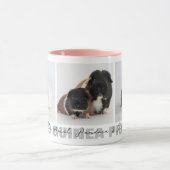 Trotse Cavia Moeder Douane Foto Collage Mok (Midden)