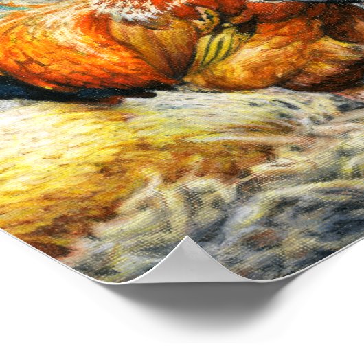 Trotse Haan Poster (Hoek)