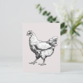 Trotse kleine kip! briefkaart (Staand voorkant)