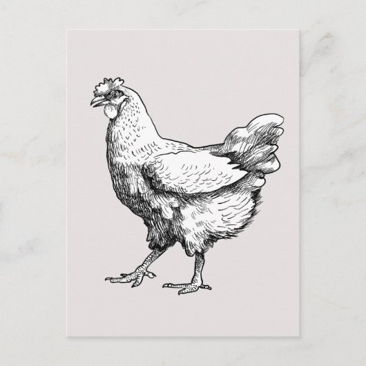 Trotse kleine kip! briefkaart (Voorkant)