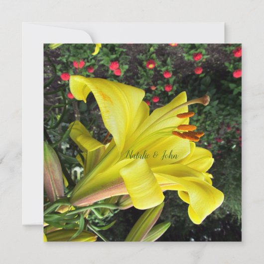 Trotse Lelie Trouw Uitnodiging (Achterkant)