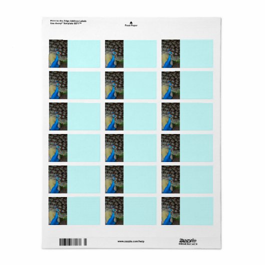 trotse pauw etiket (Full Sheet)