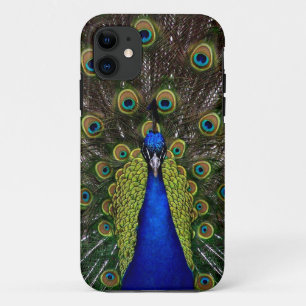 Trotse Peacock iPhone hoesje