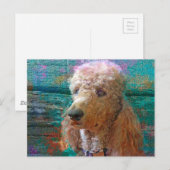 TROTSE POEDEL BRIEFKAART (Voorkant / Achterkant)