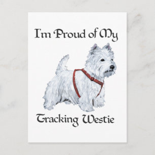 Trotse Westie volgers Briefkaart