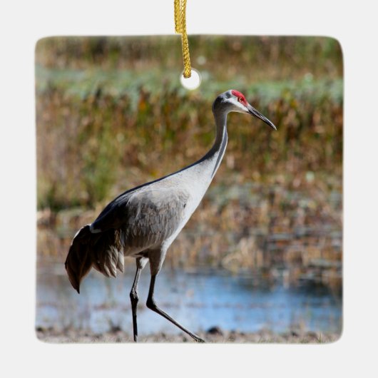 Trotse Zilverreiger Keramisch Ornament (Voorkant)