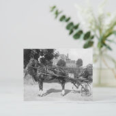 trotter en sulky briefkaart (Staand voorkant)