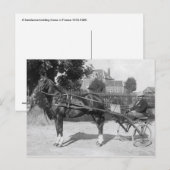 trotter en sulky briefkaart (Voorkant / Achterkant)