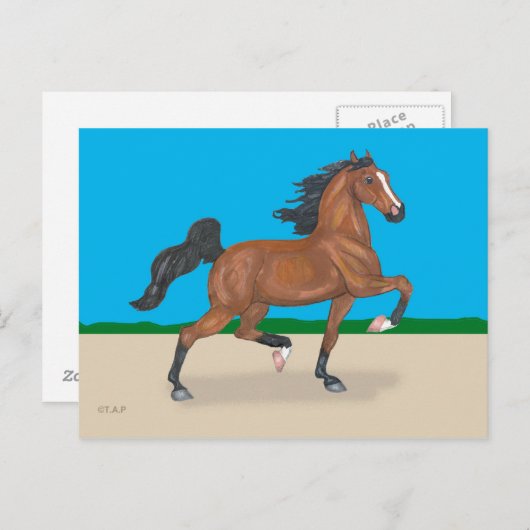 Trotting American Saddlebred Briefkaart (Voorkant / Achterkant)
