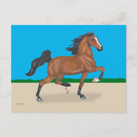 Trotting American Saddlebred Briefkaart (Voorkant)