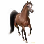 Trotting Arabian Horse Ornament Fotobeeldje Ornament<br><div class="desc">Origineel kunstontwerp van een dragend Arabisch paard op een acrylvormgeving van hoge kwaliteit voor paard en pony-liefhebbers door ontwerper Carolyn McFann van Two Spinnende Cats Studio.</div>