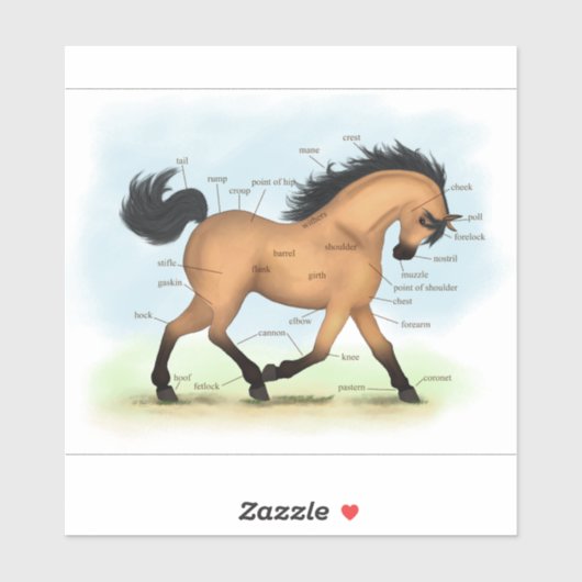Trotting Buckskin Paard Anatomie Grafiek Educatief Sticker (Vel)
