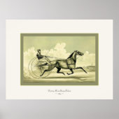 Trotting Horse George Palmer ~ 1870 Poster (Voorkant)