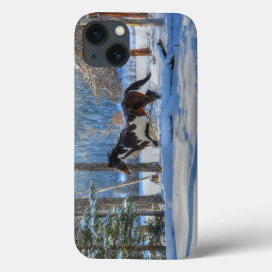 Trotting Pinto Paint Stallion & Winter Snows Case-Mate iPhone Case (Achterkant)