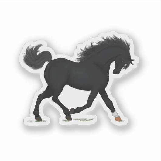 Trotting zwart paard met ster & sok zwart schoonhe sticker (Voorkant)