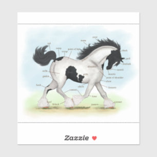 Trotting Zwart-wit Gypsy Paard Anatomie Grafiek Sticker