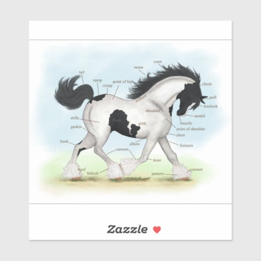Trotting Zwart-wit Gypsy Paard Anatomie Grafiek Sticker (Vel)