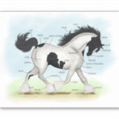 Trotting Zwart-wit Gypsy Paard Anatomie Grafiek Sticker (Voorkant)
