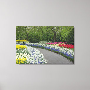 Trottoir door tulpen en narcissen, canvas afdruk