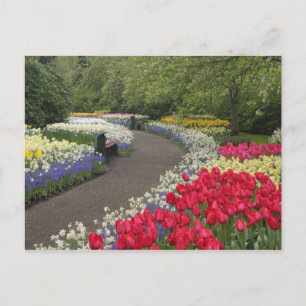 Trottoir door tulpen, narcissen en briefkaart