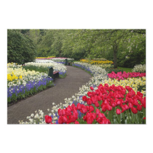 Trottoir door tulpen, narcissen en foto afdruk