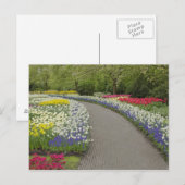 Trottoirpad door tulpen en narcissen, 2 briefkaart (Voorkant / Achterkant)