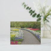 Trottoirpad door tulpen en narcissen, 2 briefkaart (Staand voorkant)