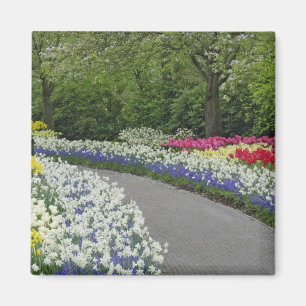 Trottoirpad door tulpen en narcissen, magneet