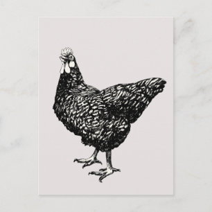 Trottse kleine kip! briefkaart