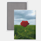 Trotz allem rot – Rote Mohnblume Magnet (Voorkant / Achterkant)