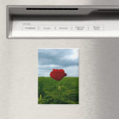 Trotz allem rot – Rote Mohnblume Magnet (Insitu (Vaatwasser))
