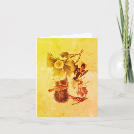 Troupial Oriole Audubon Birds Art Note Kaart (Voorkant)