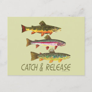 Trout Catch and Release Briefkaart