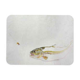 Trout die de vlieg van een visser achtervolgt magneet