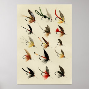 Trout Flies 174-188  Poster