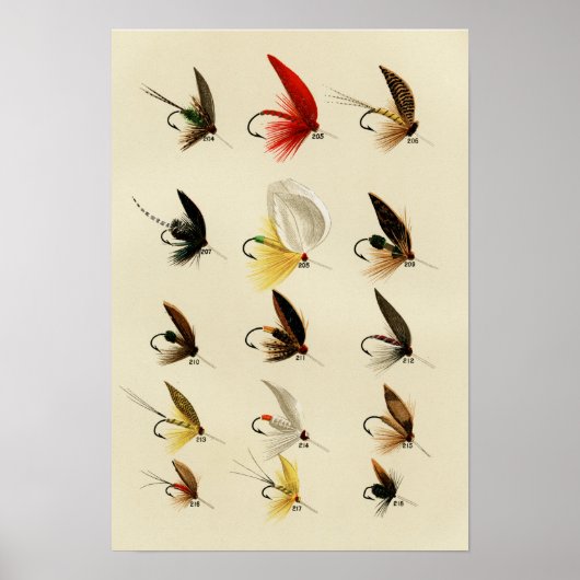 Trout Flies 204-218  Poster (Voorkant)