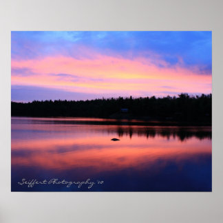 Trout Lake Series Poster