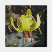 Trout Lily #1 Magnet (Voorkant)