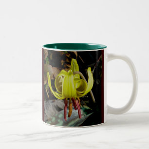 Trout Lily #1 Mok
