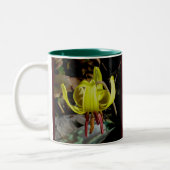 Trout Lily #1 Mok (Links)