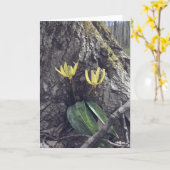 Trout Lily - Blank Card Kaart (Gele Bloem)